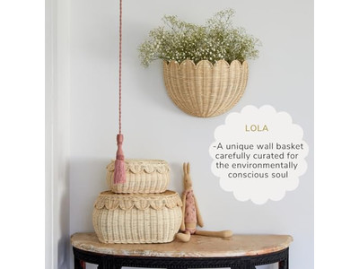 ネイチャールームデコ 美的な小型アイテム ホワイトリビング用シェルフ