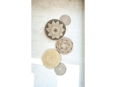 ペインテッドオールウォールデコレーション パンプキンデコ ウォーターヒヤシンス